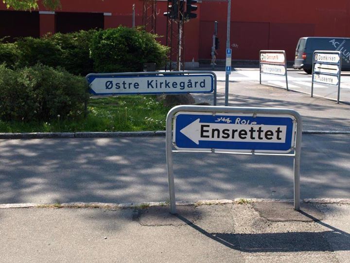 Ensrettet